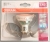 Osram LED Star PAR16 GU10 3W=35W CW 36°