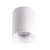 Kanlux oprawa sufitowa RITI GU10 W/W 27569