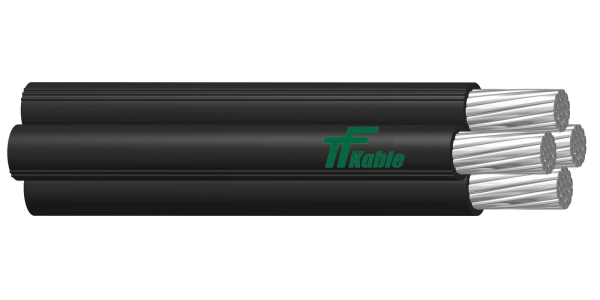 ASXSN TELEFONIKA.jpg