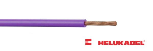 1X FIOLET.jpg