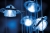 0a3acc2575c99a4b44a260d51a99da56