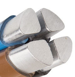 sektorowany.png