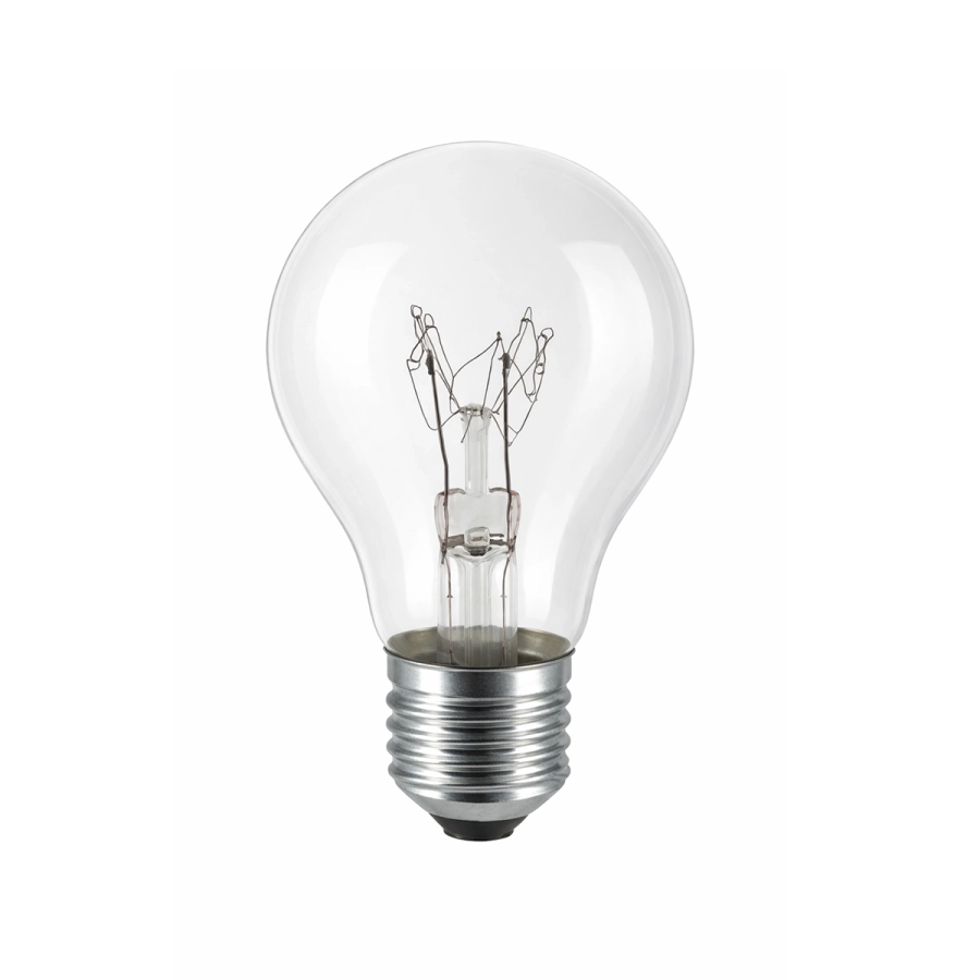 Żarówka tradycyjna E27 100W 24V WST-2662.webp