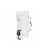 Rozłącznik izolacyjny 1P 63A 230V Schelinger-1.webp