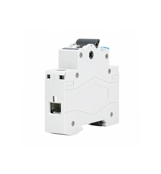 Rozłącznik izolacyjny 1P 63A 230V Schelinger-2.webp