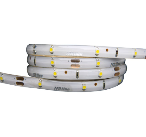 LED line TAŚMA LED LINE 150 SMD3528 12V 3900-4175K IP65
